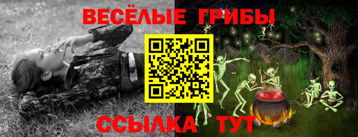 Псилоцибиновые грибы MAGIC MUSHROOMS Канаш
