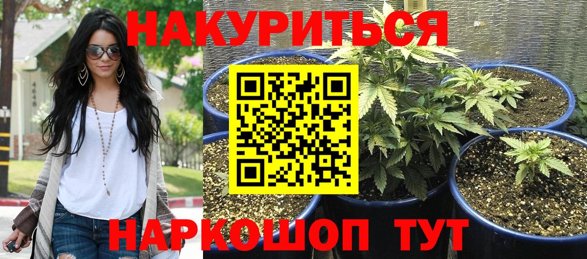 Бошки Шишки OG Kush  Конопля THC 21%  Канаш  Вход с VPN  Конопля VHQ 